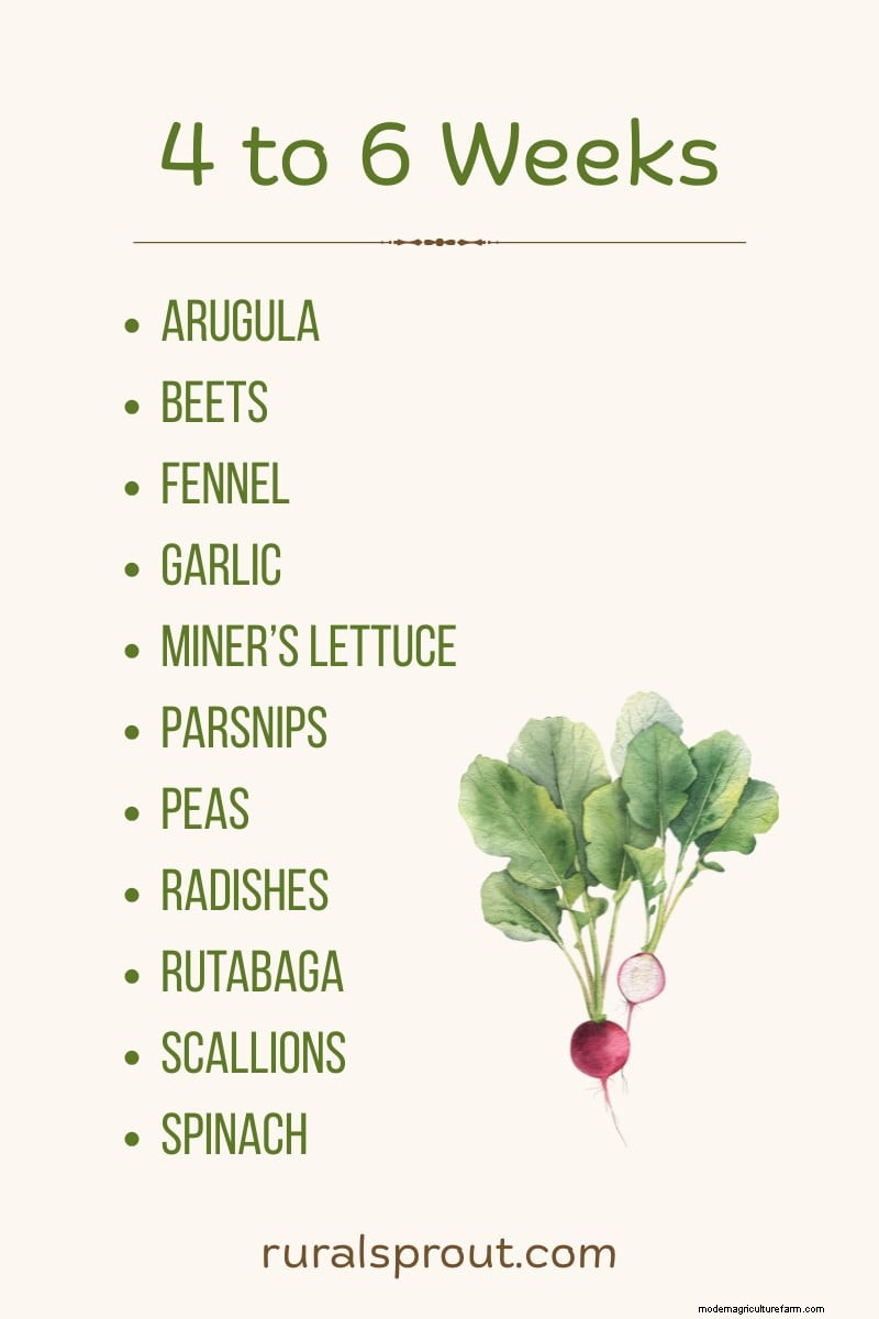 Direct Sowing: 27 Seeds to Plant Before the Last Frost