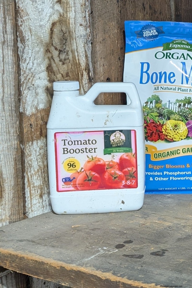 Grow Better Tomatoes: 7 Essential Tools & Techniques
