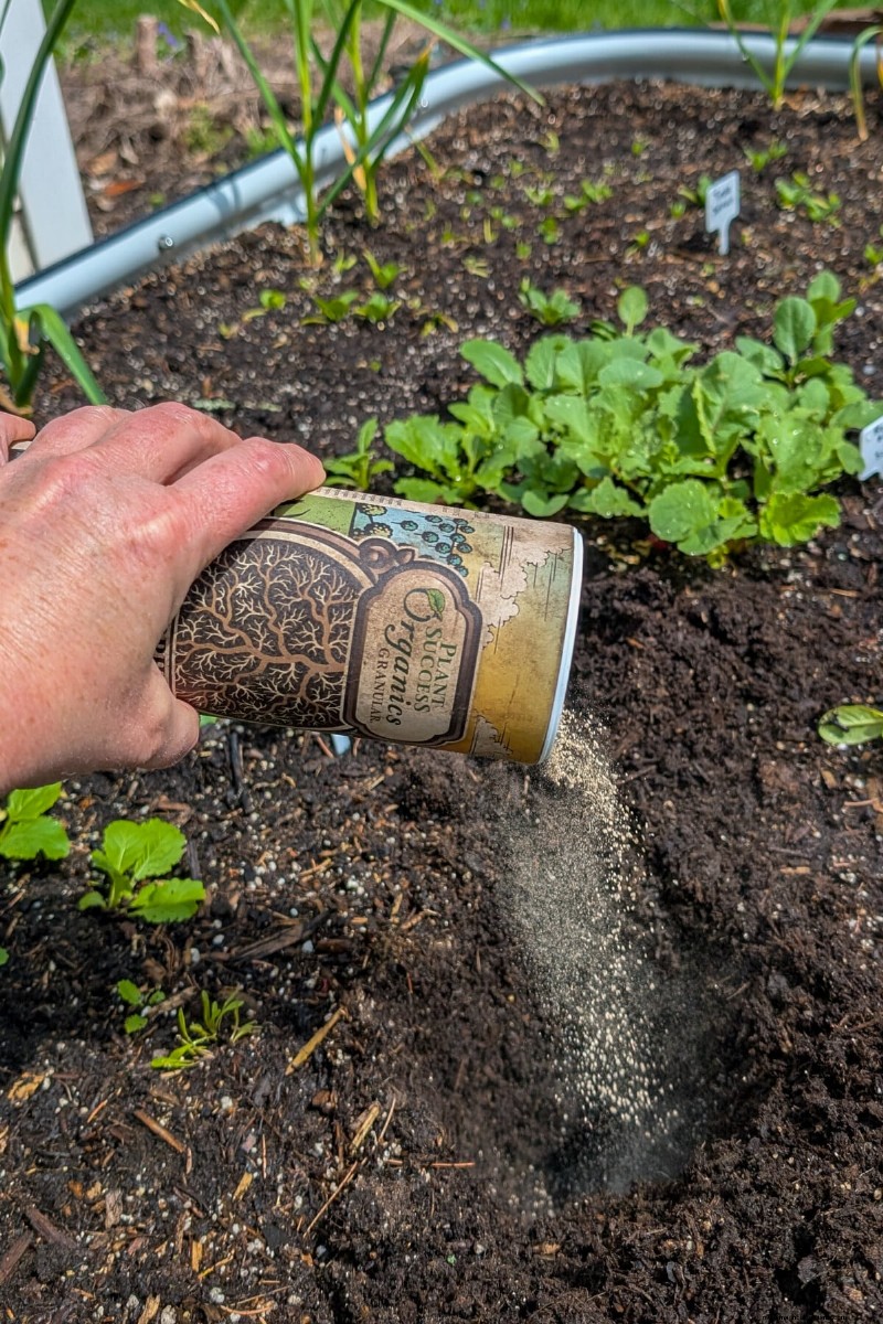 Grow Better Tomatoes: 7 Essential Tools & Techniques
