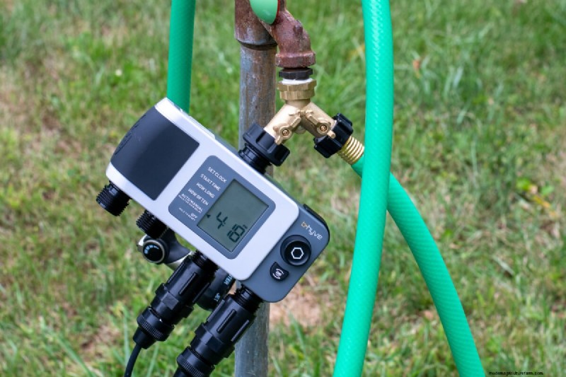 Grow Better Tomatoes: 7 Essential Tools & Techniques