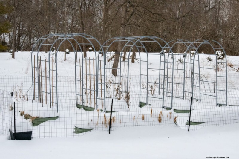 February Raised Bed Gardening: 3 Essential Tasks for a Bountiful Season