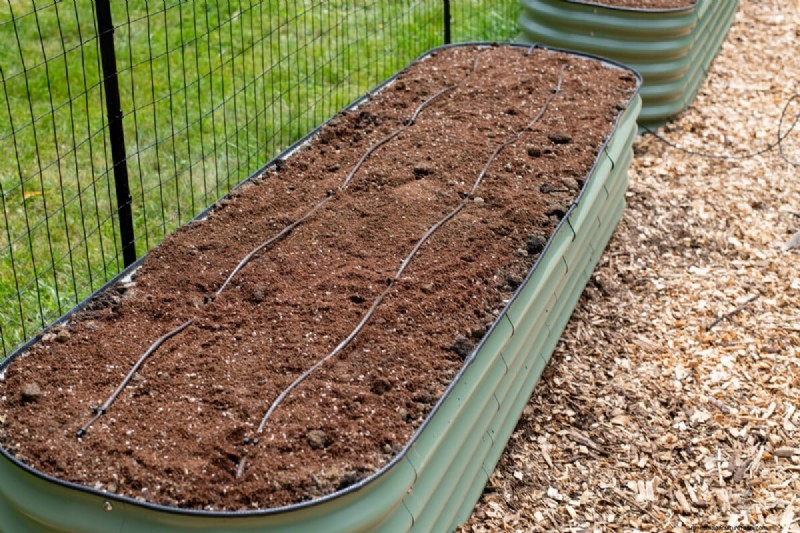 February Raised Bed Gardening: 3 Essential Tasks for a Bountiful Season