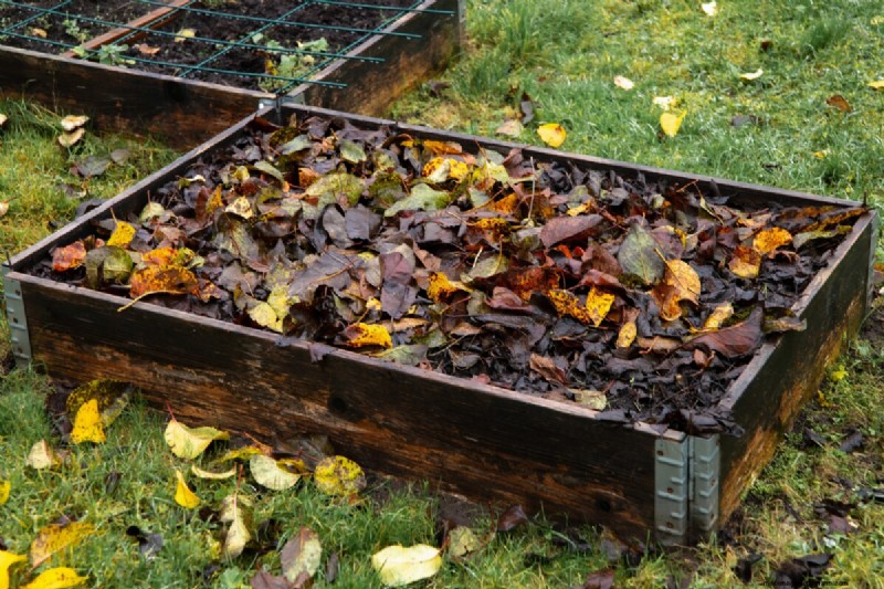 February Raised Bed Gardening: 3 Essential Tasks for a Bountiful Season