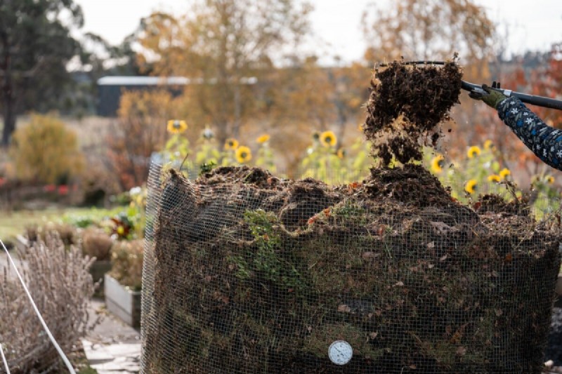February Raised Bed Gardening: 3 Essential Tasks for a Bountiful Season