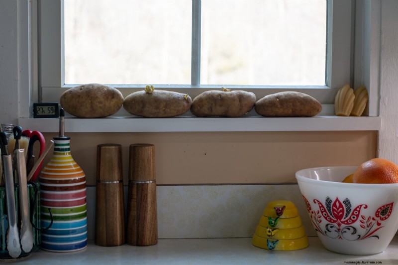 Chitting Potatoes: A Beginner s Guide for Successful Growing