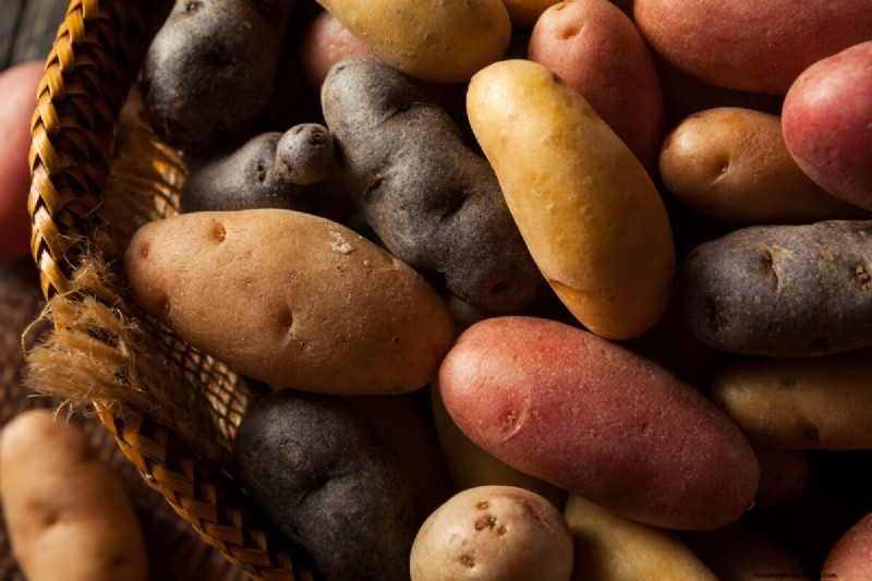 Chitting Potatoes: A Beginner s Guide for Successful Growing
