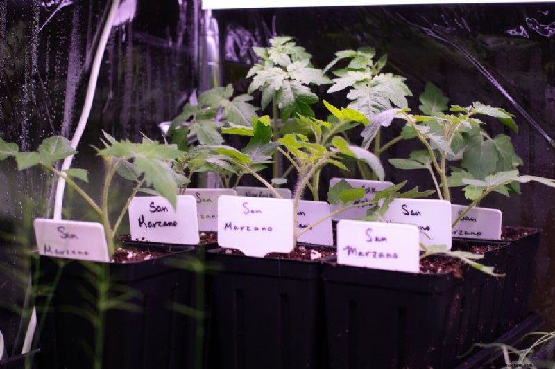 January & February Planting Guide: 18 Vegetables for Every Growing Zone