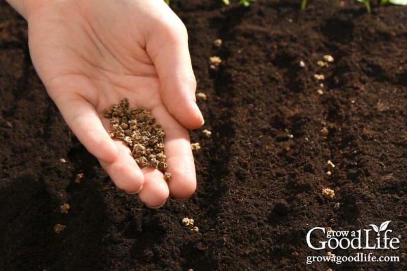 Best Seeds to Direct Sow Before Last Frost: A Planting Guide