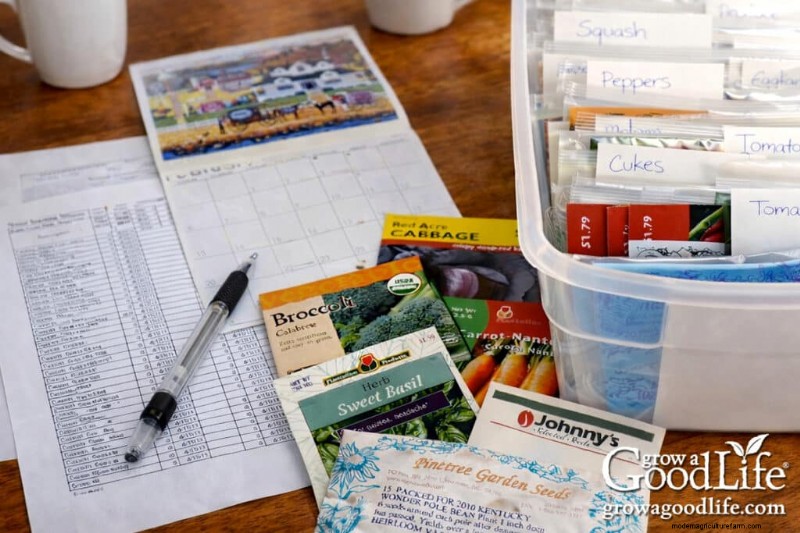 Best Seeds to Start Indoors: Your Spring Garden Timeline