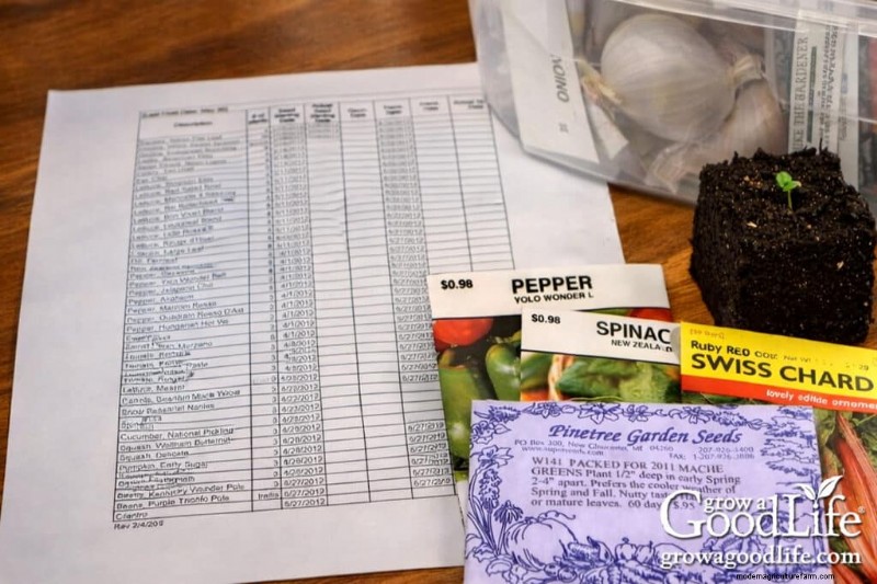 Best Seeds to Start Indoors: A 4-6 Week Guide for Spring Planting
