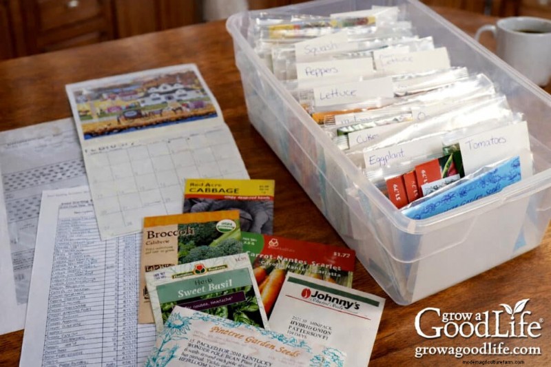 Best Time to Start Seeds Indoors: A Complete Guide
