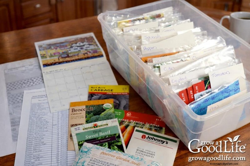 Starting Seeds Indoors: Your Guide to a Successful Garden