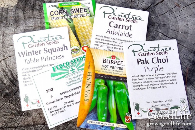 Understanding Seed Types: A Guide to Hybrid, Heirloom, Organic & Non-GMO