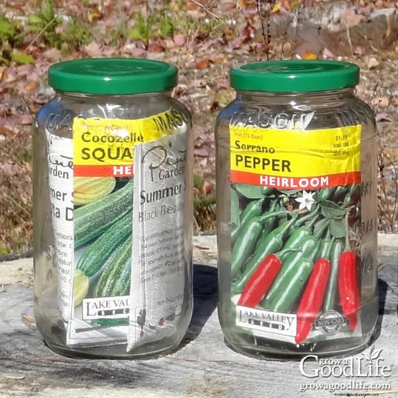 Long-Term Seed Storage: Keep Seeds Viable for Years