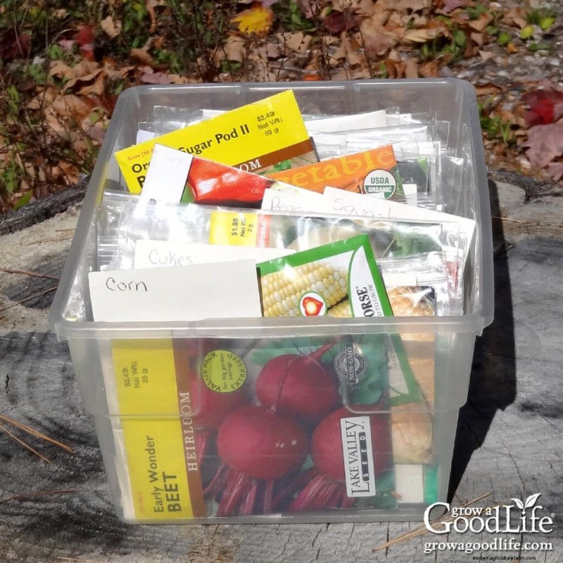 Long-Term Seed Storage: Keep Seeds Viable for Years