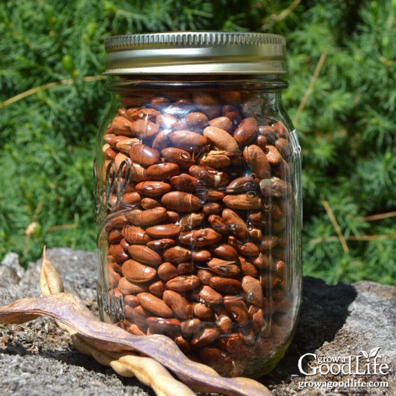 Long-Term Seed Storage: Keep Seeds Viable for Years