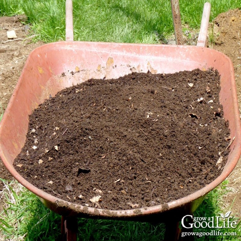 Leaf Mold Guide: Improve Soil & Garden Health - Step-by-Step