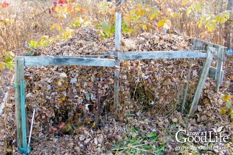 Leaf Mold Guide: Improve Soil & Garden Health - Step-by-Step