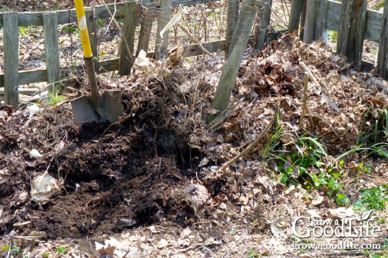 Leaf Mold Guide: Improve Soil & Garden Health - Step-by-Step
