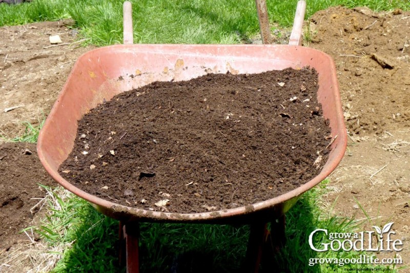 Leaf Mold Guide: Improve Soil & Garden Health - Step-by-Step