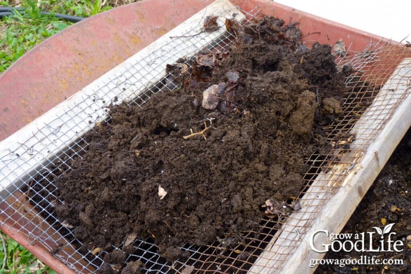 Leaf Mold Guide: Improve Soil & Garden Health - Step-by-Step