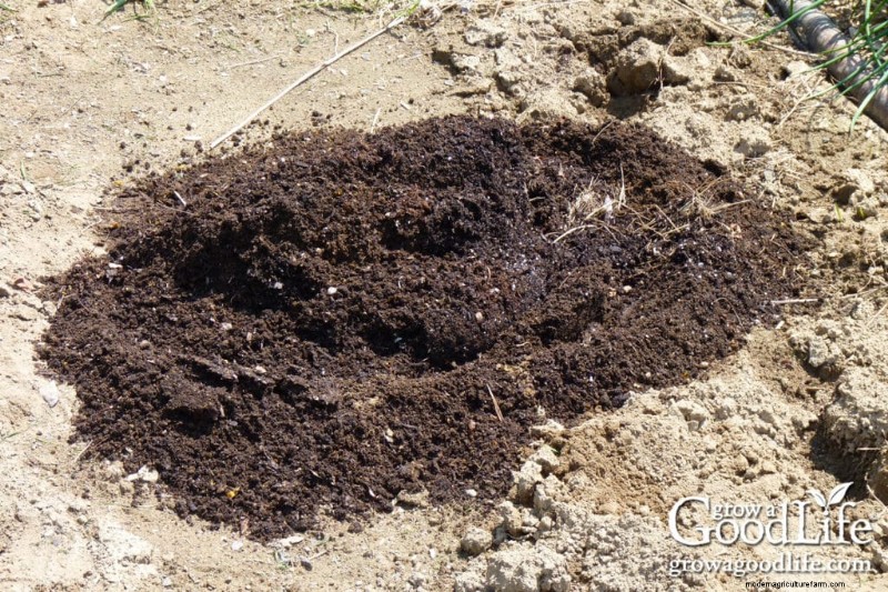 Leaf Mold Guide: Improve Soil & Garden Health - Step-by-Step