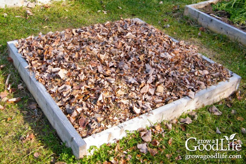 Leaf Mulch: A Comprehensive Guide to Using Shredded Leaves in Your Garden
