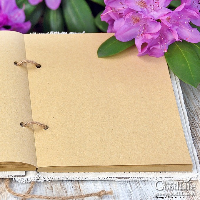 Gardening Journal: Track Progress & Grow Smarter | [Your Brand/Site Name]