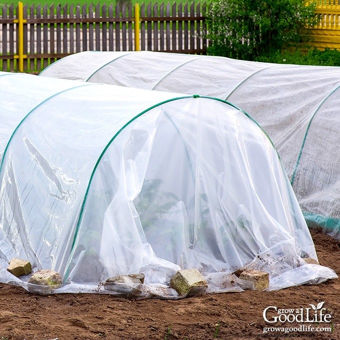 Protect Your Garden: 6 Effective Frost Protection Methods