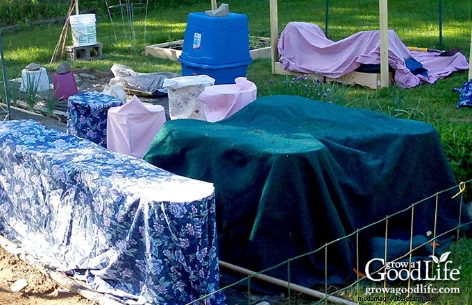 Protect Your Garden: 6 Effective Frost Protection Methods