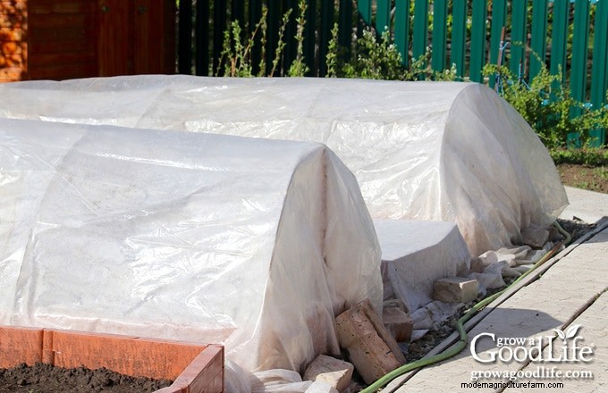 Protect Your Garden: 6 Effective Frost Protection Methods