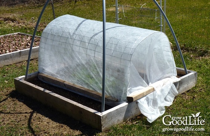 Protect Your Garden: 6 Effective Frost Protection Methods