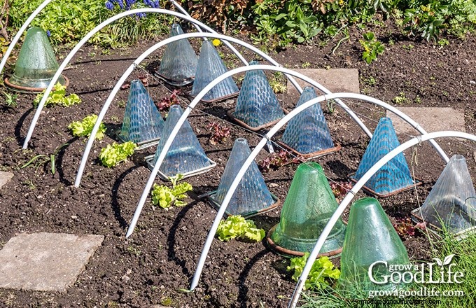 Protect Your Garden: 6 Effective Frost Protection Methods