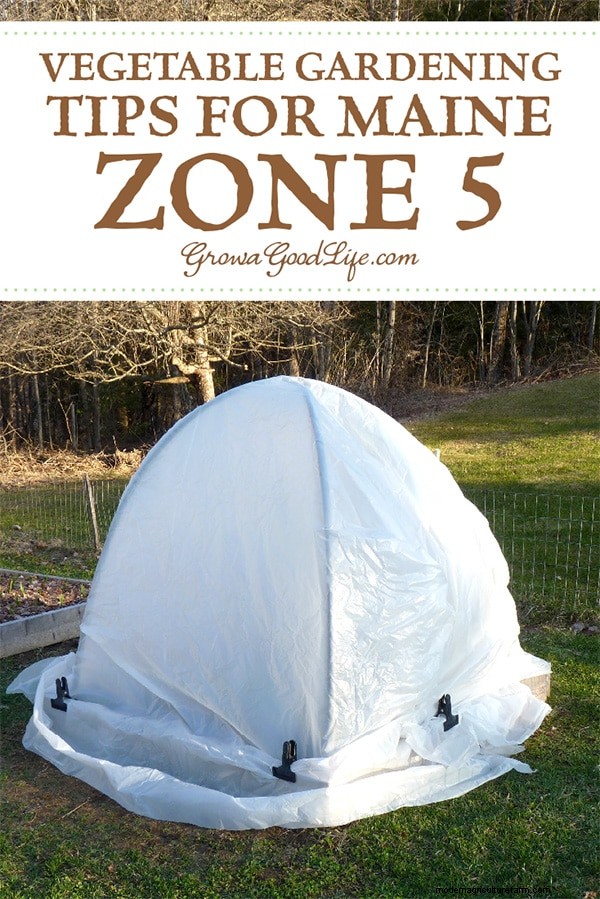 Maine Vegetable Gardening: Tips for Zone 5 Success