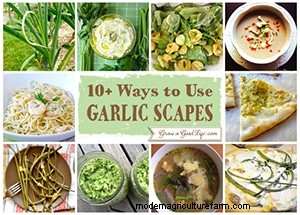Top Gardening Articles of 2014 | Grow a Good Life