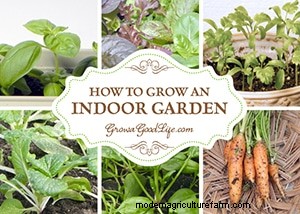 Top Gardening Articles of 2014 | Grow a Good Life