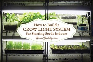 Top Gardening Articles of 2014 | Grow a Good Life