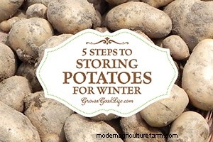 Top Gardening Articles of 2014 | Grow a Good Life