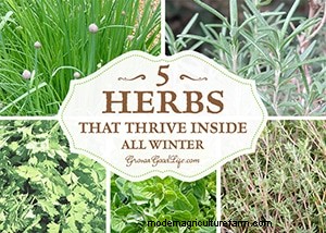 Top Gardening Articles of 2014 | Grow a Good Life