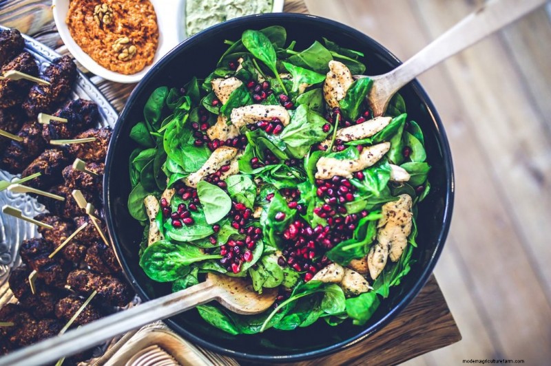Grow Healthy Spinach: A Complete Guide for Bountiful Harvests