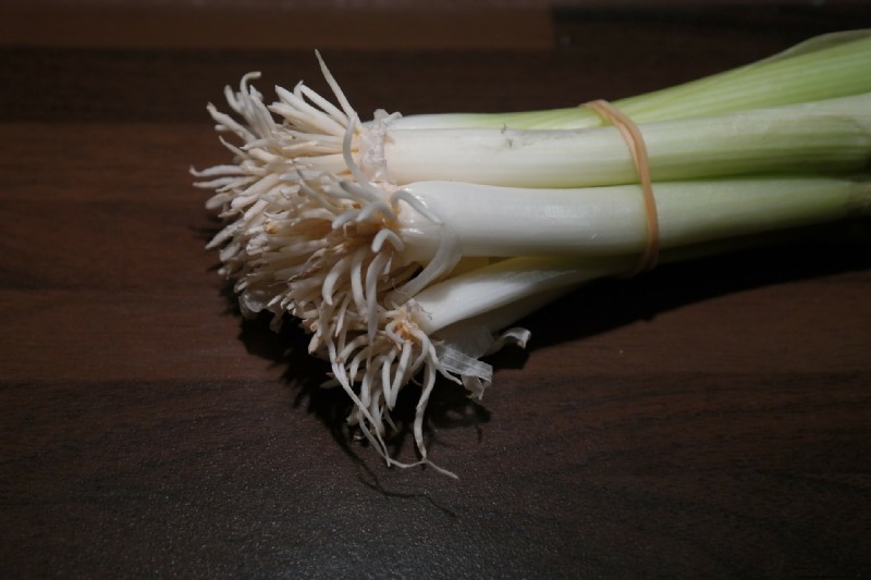 Grow Welsh Onions: A Comprehensive Guide for Beginners