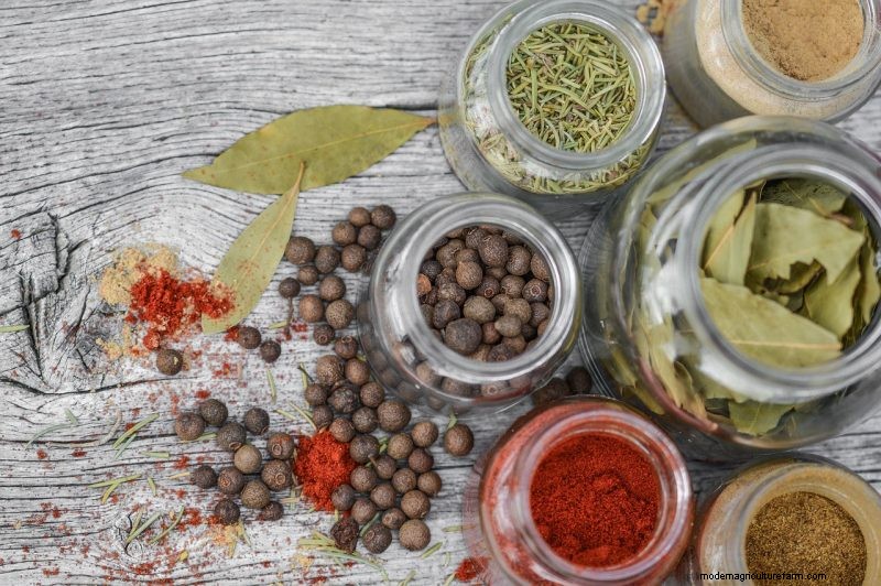 Natural Cleaning Solutions: 8 Garden Herbs for DIY Homemade Cleaners