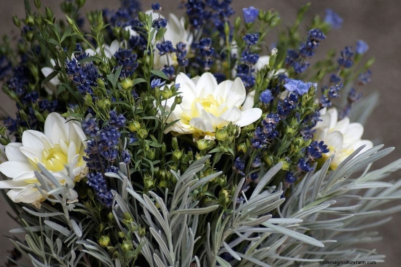 Unique DIY Bridal Bouquet: Vegetable & Herb Arrangements
