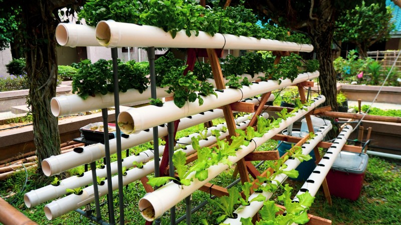 Hydroponics: A Beginner s Guide to Soil-Less Gardening