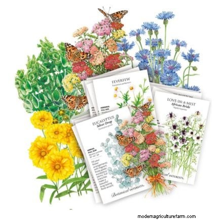Extend Annual Bloom Time: Expert Tips for a Continuous Summer Garden