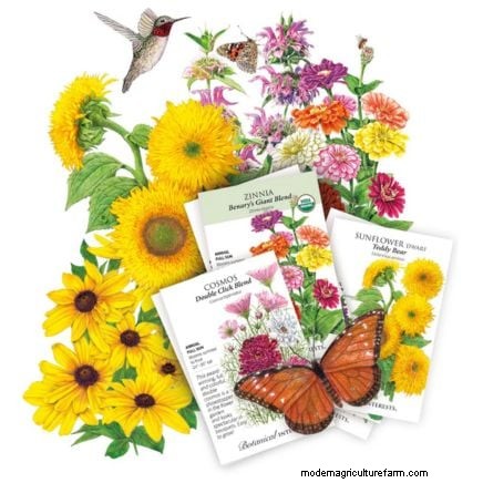 Extend Annual Bloom Time: Expert Tips for a Continuous Summer Garden