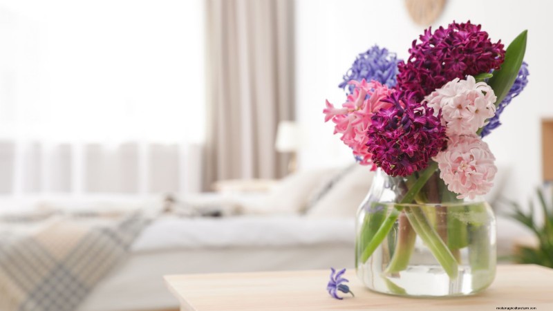 Extend the Life of Cut Hyacinths: Expert Tips & Tricks
