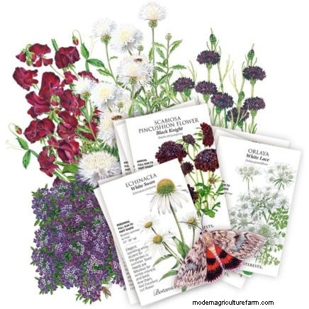 Expert Spring Container Garden Combinations: 7 Pro Designs