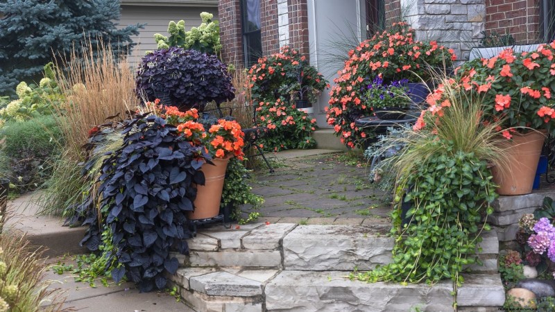 Expert Spring Container Garden Combinations: 7 Pro Designs