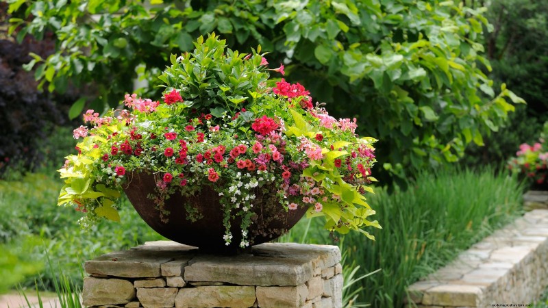 Expert Spring Container Garden Combinations: 7 Pro Designs
